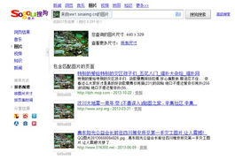 净化网络环境，识图技术助力正能量传播获网友好评